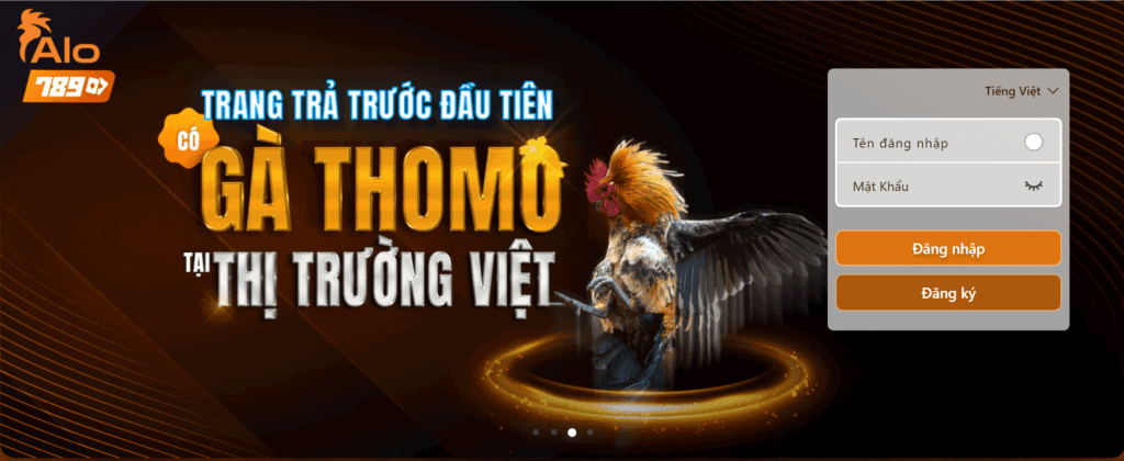 Alo789 lừa đảo? Alo789 có uy tín không? 6 Alo789 lừa đảo 6